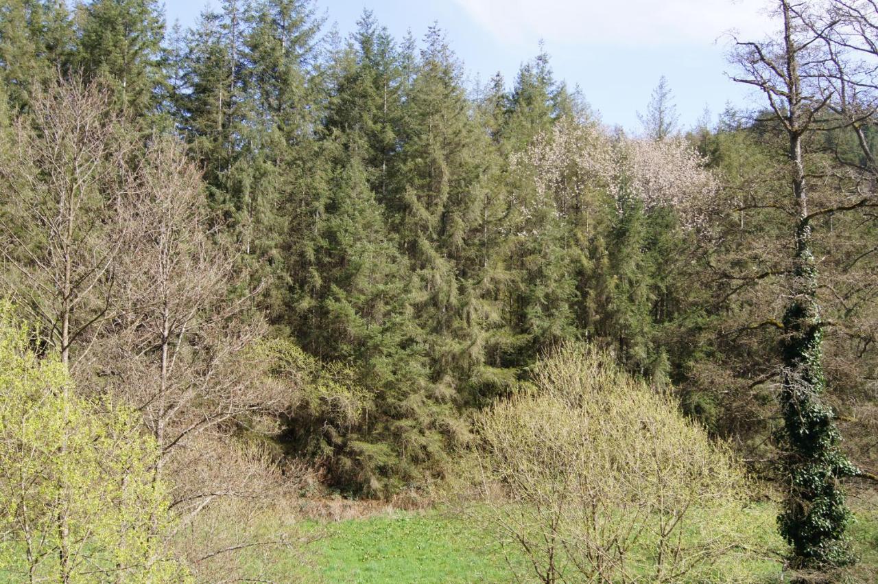 Appartement Lillie 3-4 Personen - Wagner & Gaul Falkenauel *